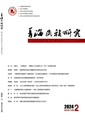 青海民族研究封面